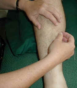 needleben.jpg (26966 bytes)